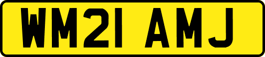 WM21AMJ