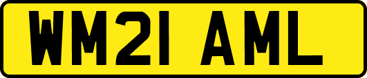 WM21AML