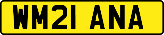WM21ANA