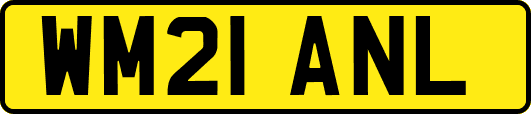 WM21ANL