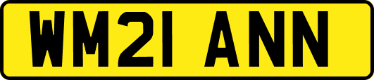 WM21ANN