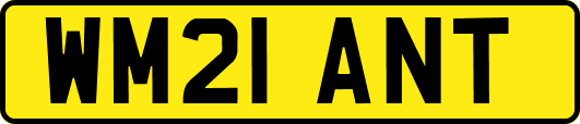 WM21ANT