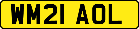 WM21AOL