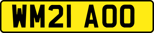 WM21AOO