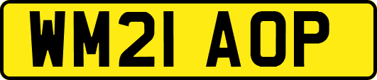 WM21AOP