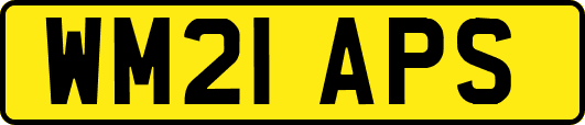 WM21APS