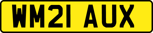 WM21AUX