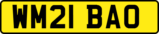 WM21BAO