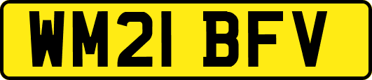 WM21BFV