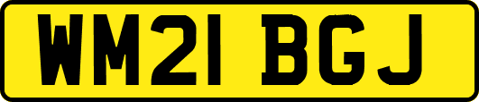 WM21BGJ