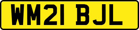 WM21BJL