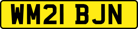 WM21BJN