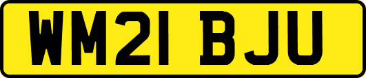 WM21BJU