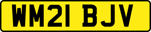 WM21BJV