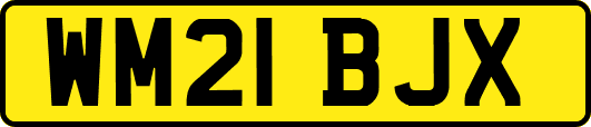 WM21BJX