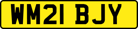 WM21BJY