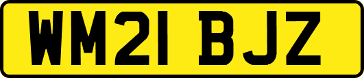 WM21BJZ