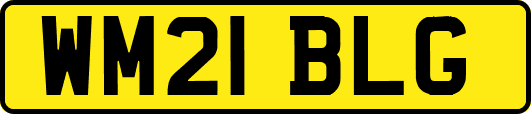WM21BLG