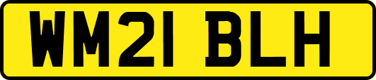 WM21BLH