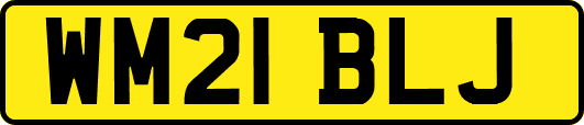 WM21BLJ