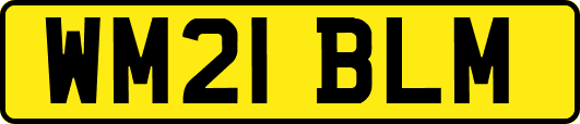 WM21BLM