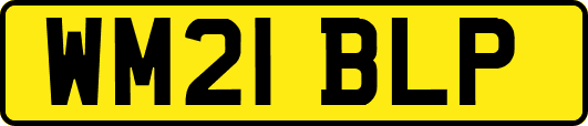 WM21BLP
