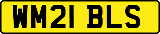 WM21BLS