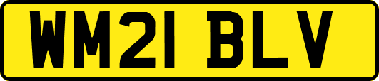 WM21BLV