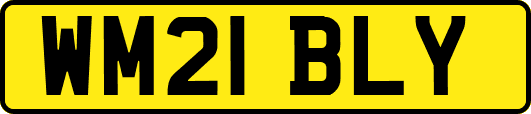 WM21BLY