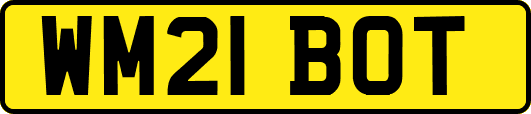 WM21BOT