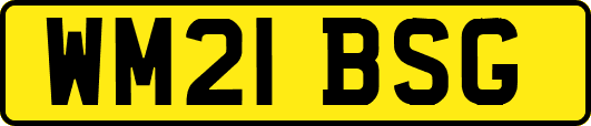WM21BSG