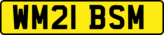 WM21BSM