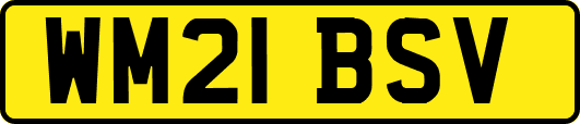 WM21BSV
