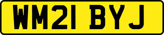 WM21BYJ