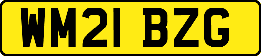WM21BZG