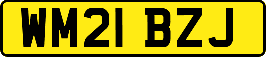 WM21BZJ