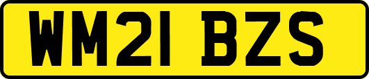 WM21BZS