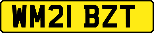 WM21BZT