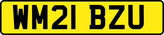 WM21BZU