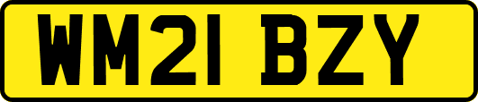 WM21BZY