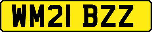 WM21BZZ