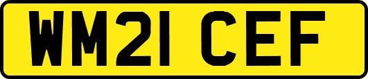 WM21CEF