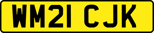 WM21CJK