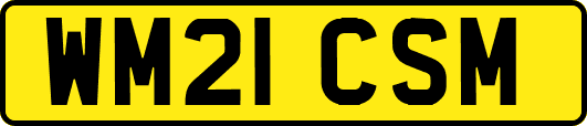 WM21CSM