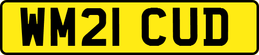 WM21CUD
