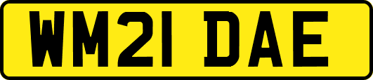 WM21DAE