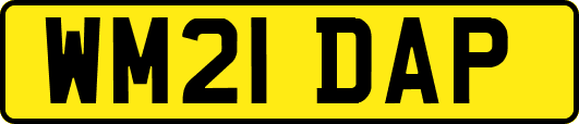 WM21DAP