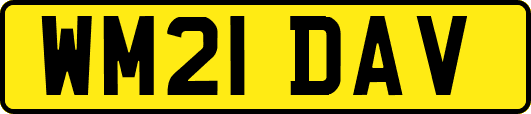 WM21DAV