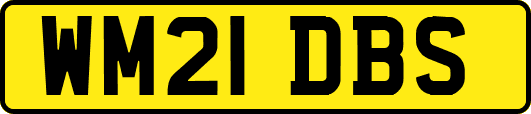 WM21DBS