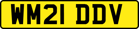 WM21DDV